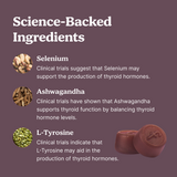 Thyroid Power